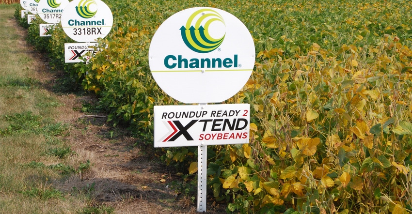 Roundup ready soybean sign
