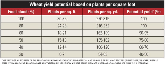 wheat yield potential based on planets per square foot