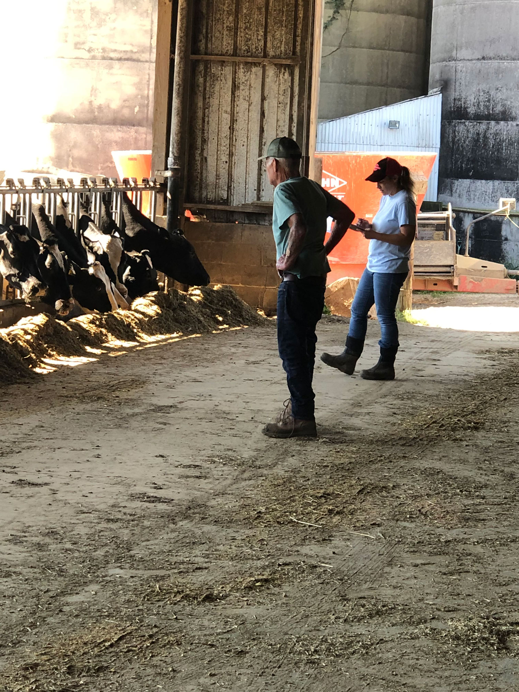 Woman and man stand in front of dairy cattle