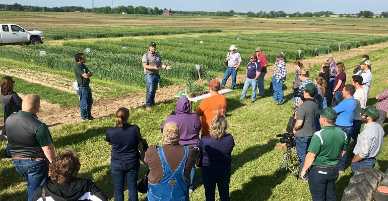 Michigan Wheat Program’s summer field day at the beginning of June