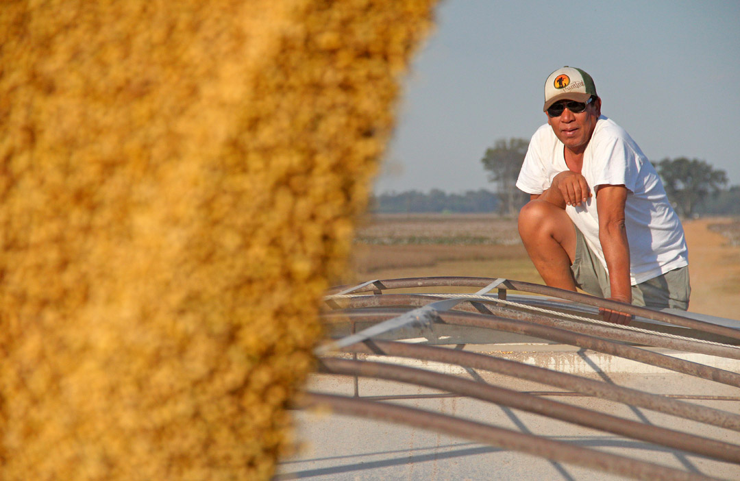 Agriculture commodities shift from squeeze to surplus Farm Progress