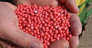handful of treated soybean seed