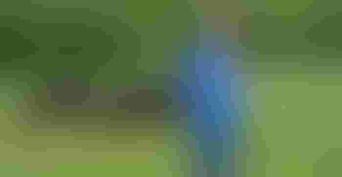 0513H1-3201d-1540x800.jpg 0513H1-3201d-1540x800.jpg