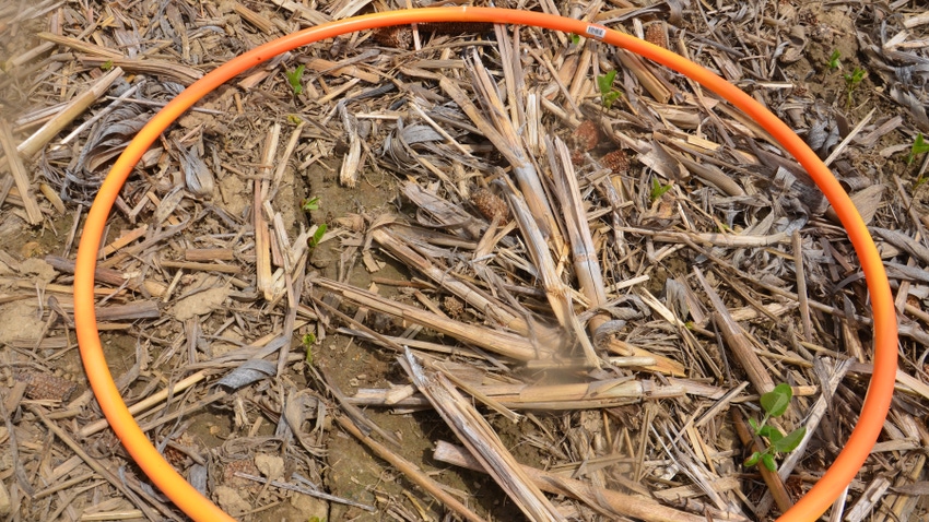 orange hula hoop lying in field