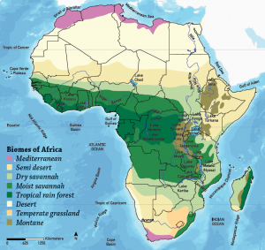 Africa biomes