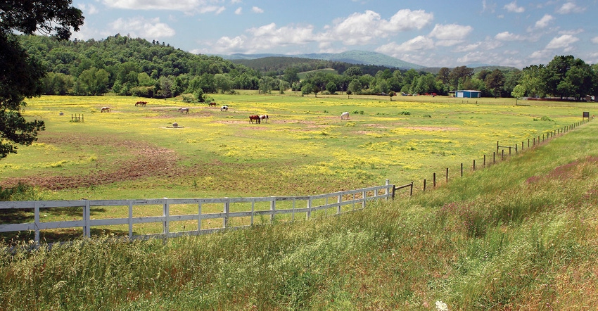 UArk-Dirk-Philipp-horse-graze-pasture.jpg