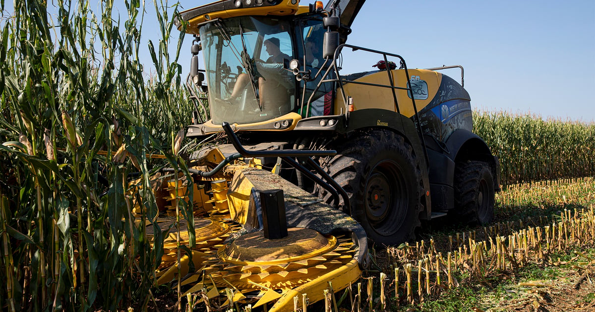 Sharp knives and clean machines: Get your chopper ready