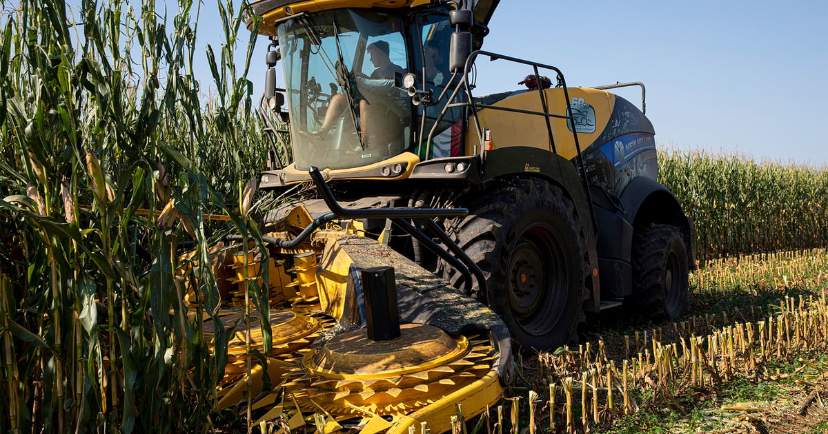 Sharp knives and clean machines: Get your chopper ready