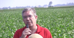 FORREST-LAWS-STEVE-GREEN-COVER-CROPS-SOYBEANS-web.jpg