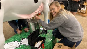 Briana Jacobus fixing model cow at Kansas State Fair
