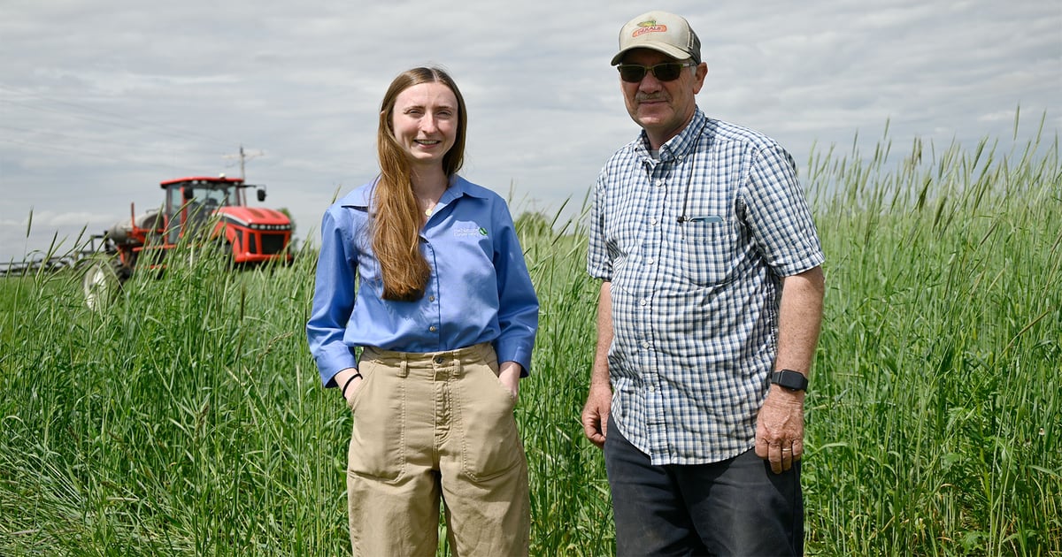 Edge-of-field practices: Enhancing farm conservation and water quality
