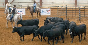 LSU-OMcClure-Moving-Cattle-On-Horseback.jpg