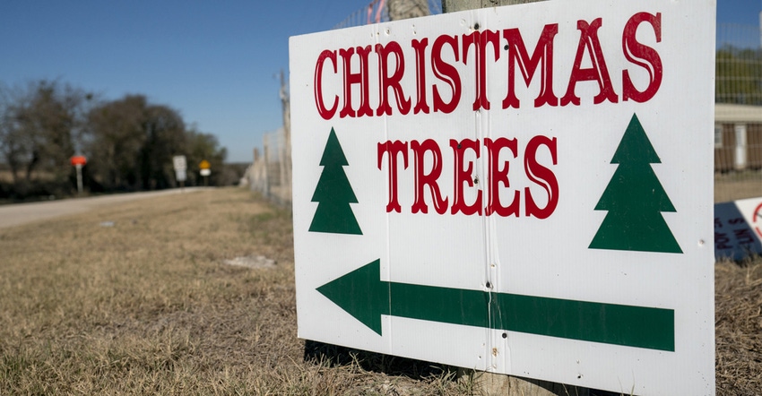 Xmas_Trees_sign110-McKenzie.jpg Xmas_Trees_sign110-McKenzie.jpg