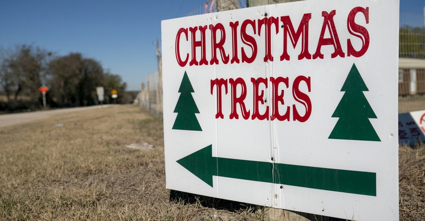 Xmas_Trees_sign110-McKenzie.jpg