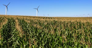 wind turbines in cornfield