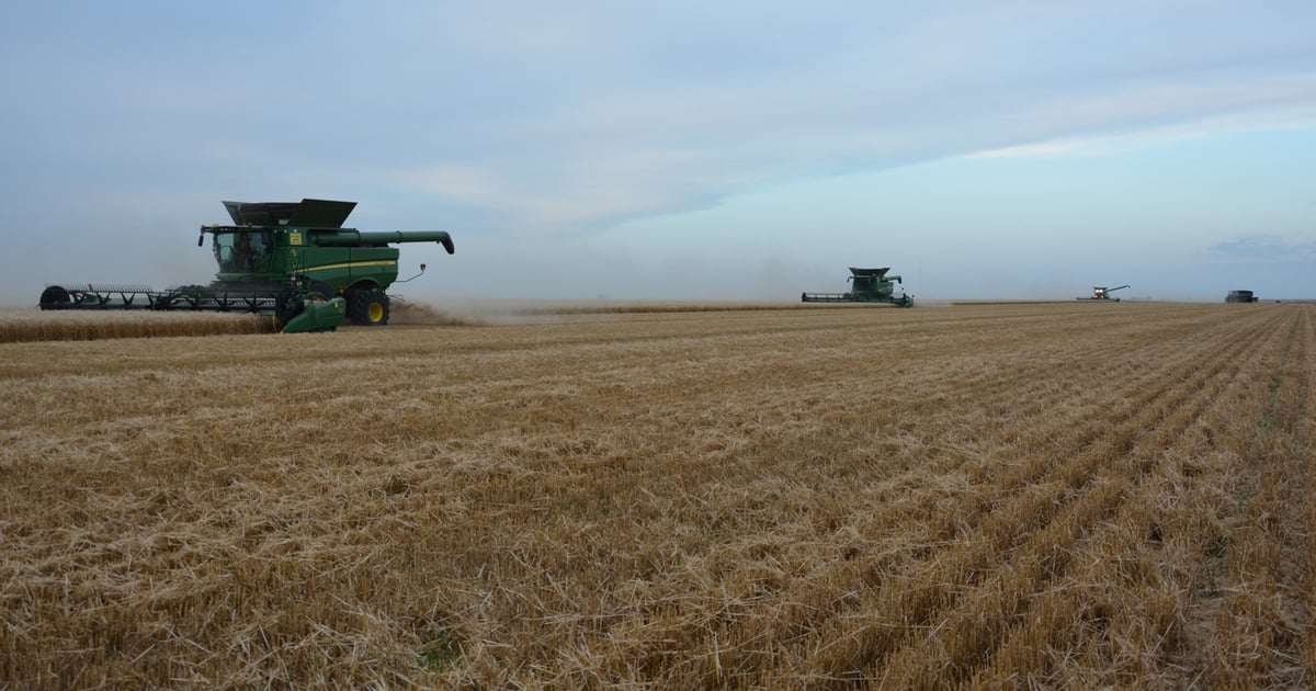 Kansas Corn offers online STEM resources for kids stuck at home