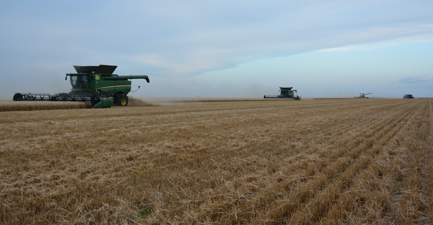combines in wheat field