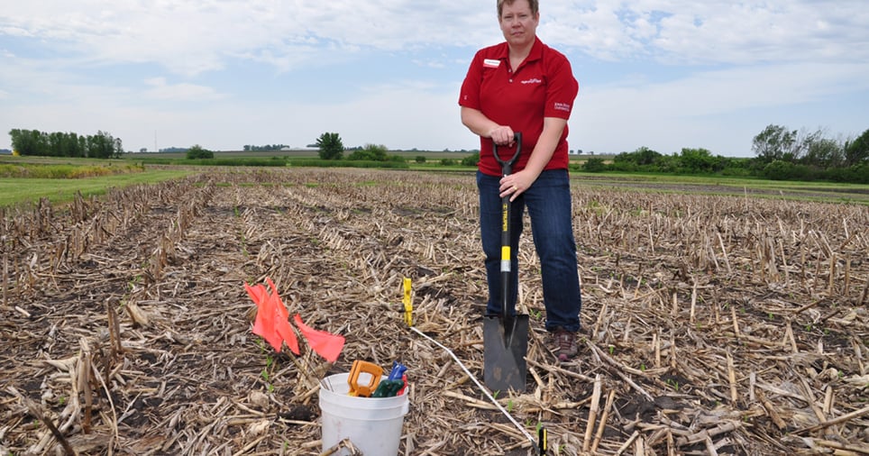 Crop Scouting: Part 1 - Tips and Tools | Farm Progress