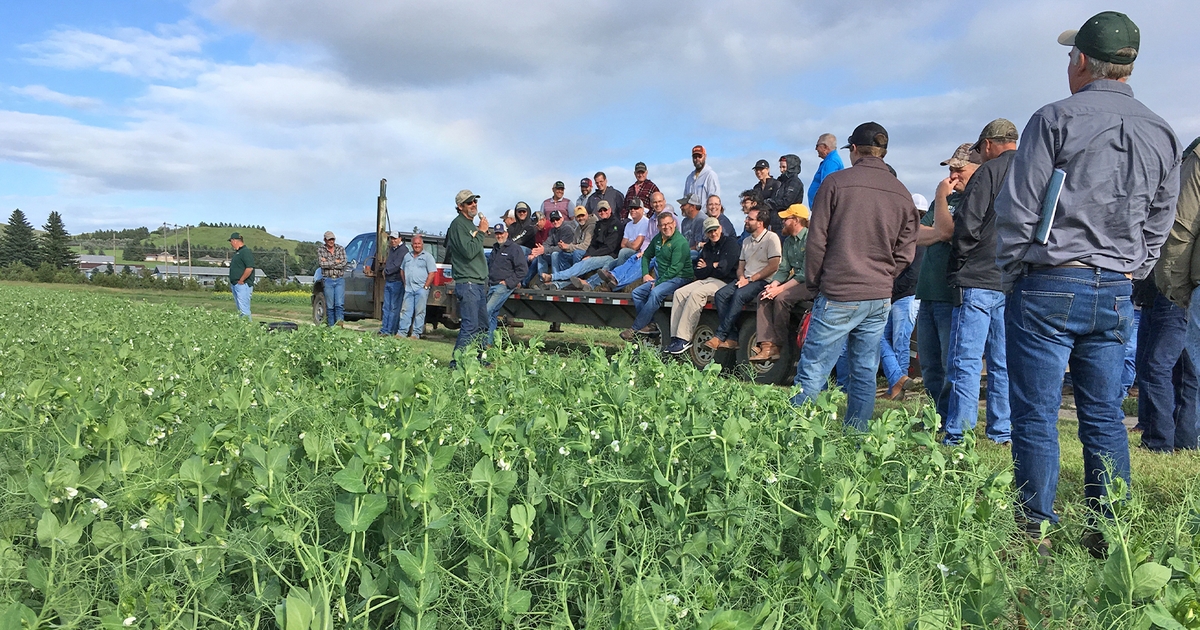Hettinger Research Extension Center hosts 2019 Field Tour Farm Progress