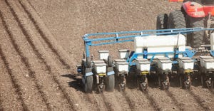 corn seed being planted in field