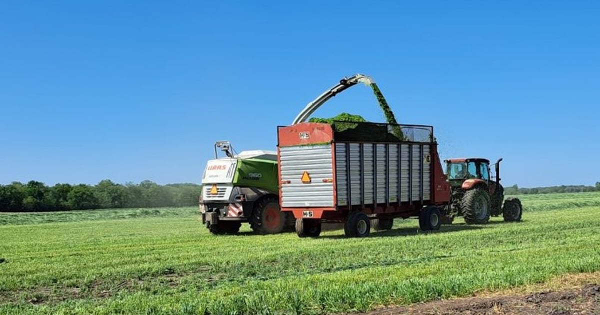 Auto Forage Still time to boost forage inventory