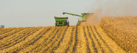 calculate_nutrient_removal_rates_grain_crops_decide_fertilizer_rates_1_635508015998614892.jpg