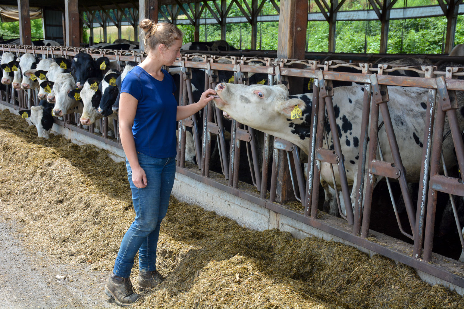 Conservation, innovation bring success at Whey Street Dairy