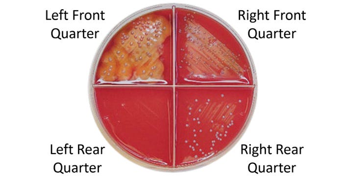 test petri dish