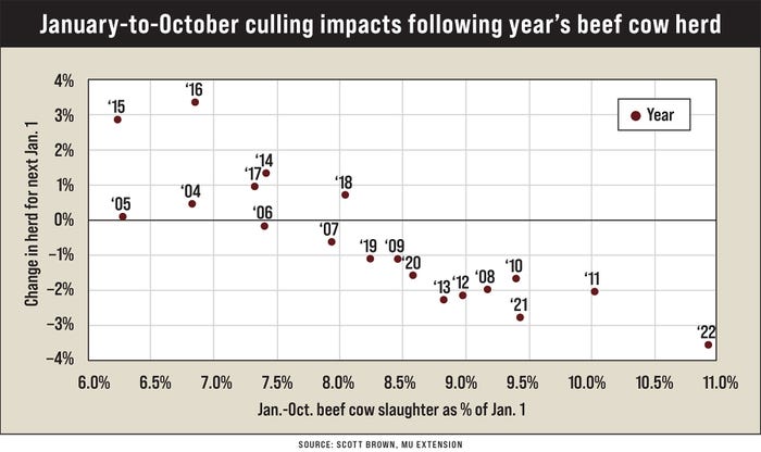 A graph illustrating January-to-October culling impacts following year’s beef cow herd