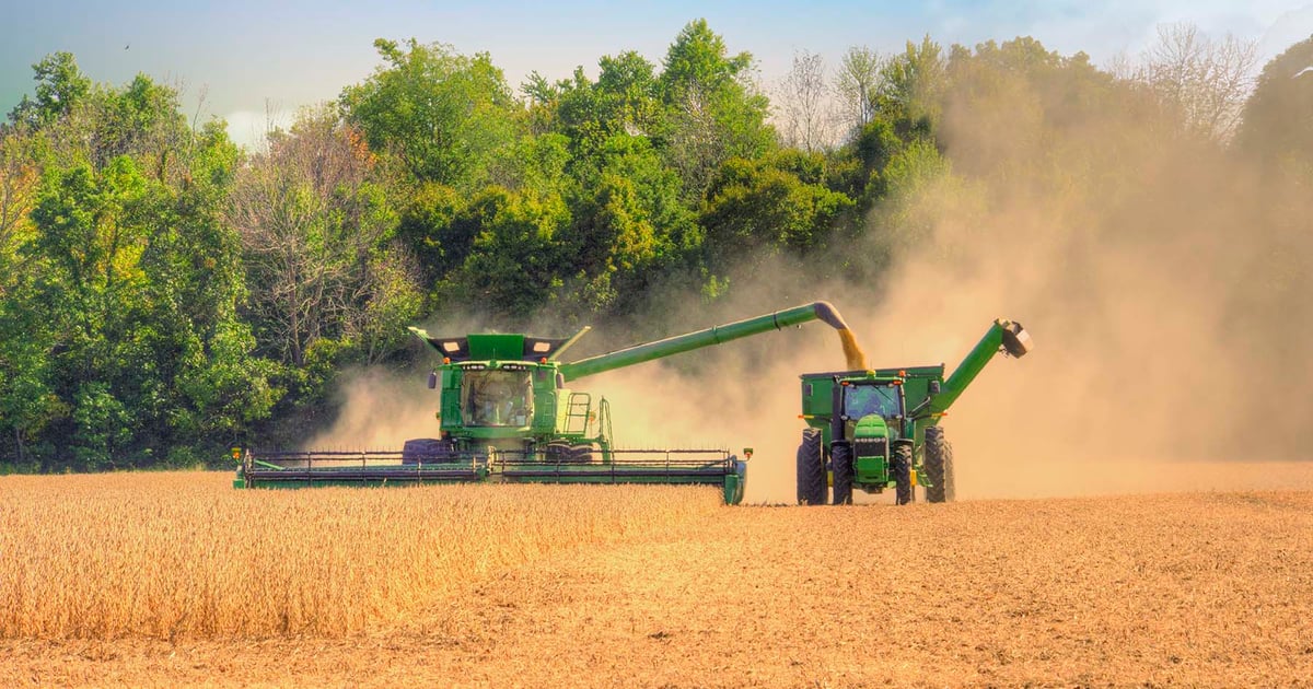 Image of Farmers Hit by Trade Wars due to trump