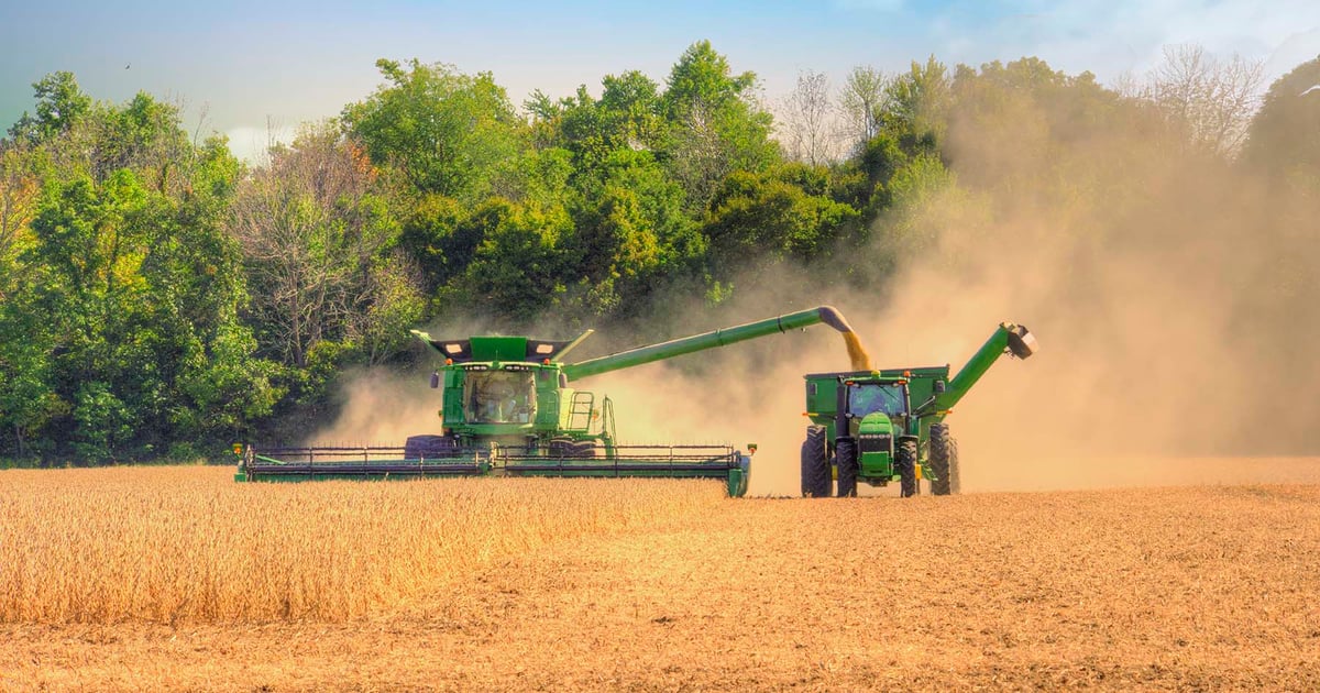 Image of Farmers Hit by Trade Wars due to trump
