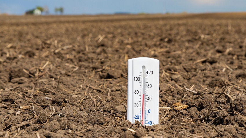 Thermometer in soil of a tilled field