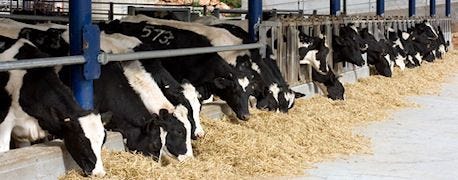 dairy_farmers_must_think_risk_management_1_634953314585869578.jpg