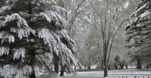 A wintery landscape of snow-covered trees