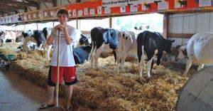 boy with dairy cows at fair