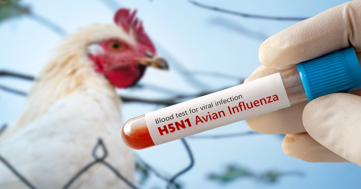 Avian Flu Updates: 4 Key Developments - News Directory 3