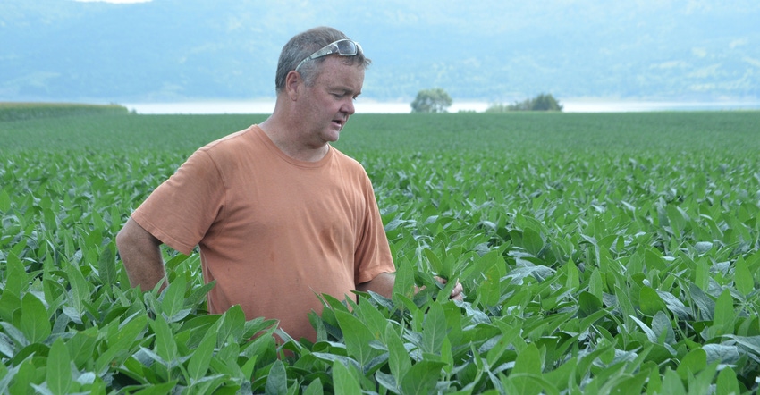 Kory Standy in soybean field