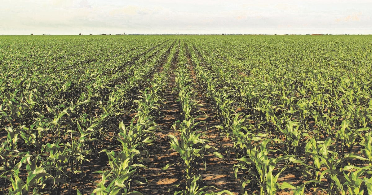 How to calculate cost of production on the farm