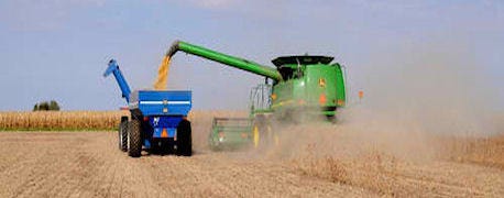 harvest_update_big_spring_wheat_crop_disease_evident_1_635473255892692000.jpg