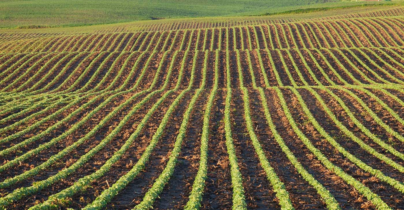 The cost to grow soybeans Brazil vs. USA