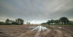 2-Indiana-wet-unplanted-field-868481928.jpg