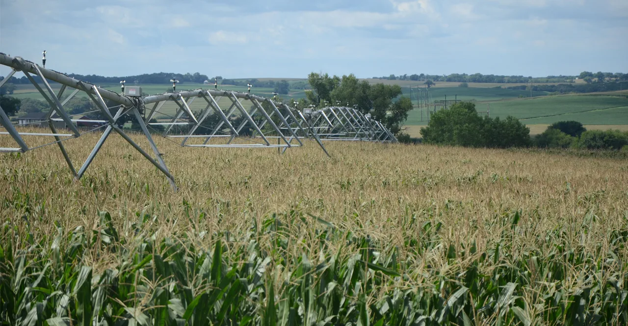 Center Pivot Irrigation Corn