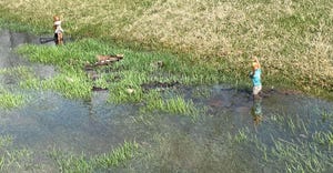 Barbie and Ken dolls standing in pond of water on grass