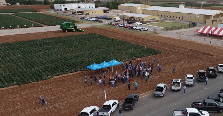 field-day-2-basf.jpg field-day-2-basf.jpg