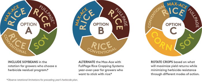 Max-Ace Rice Crop Rotations770x315.jpg