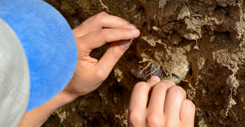 Close up of soil examination Close up of soil examination