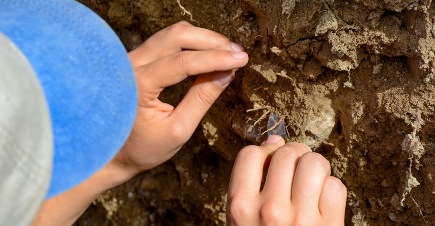 Close up of soil examination