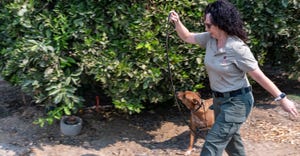 wfp-todd-fitchette-canine-detection-services-14.jpg