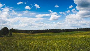 grassy field under sky with clouds