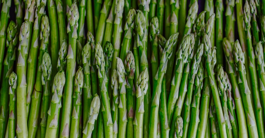 asparagus asparagus